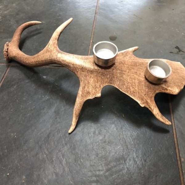 fallow deer antler candle holder