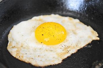fried duck egg