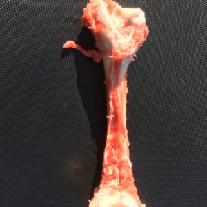 venison bone for dogs